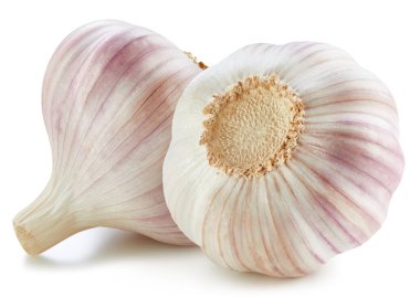 Sarımsak toplama yolu. Beyaza izole edilmiş organik sarımsak. Tam alan derinliği