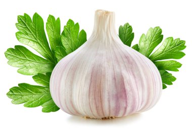 Beyaz arka planda taze sarımsak. Yapraklı sarımsak. Sarımsak kesiyorum. Sarımsaklı makro stüdyo fotoğrafı.