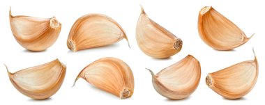 Sarımsak soğanı toplama yolu. Sarımsak beyaz arka planda izole edilmiş. Büyük sarımsak ampulü. Profesyonel stüdyo makro çekimi