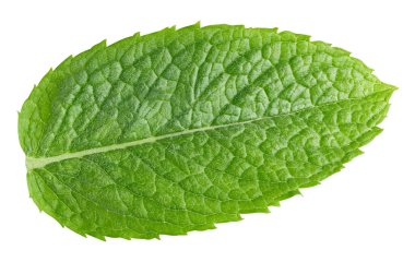 Nane yaprakları beyaz arka planda izole. Nane yaprağı kırpma yolu