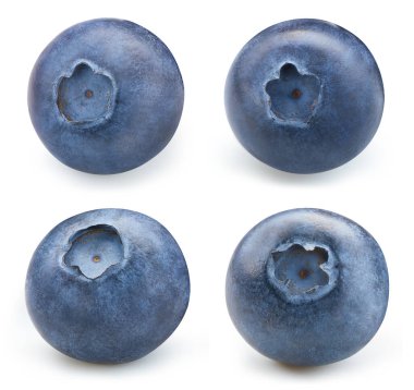 Yaban mersini koleksiyonu. Kırpma yolu olan beyaz arka planda yabanmersini meyvesi. Görüntü yığını tam derinlikteki alan makro görüntüsü