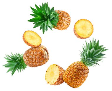 Uçan Ananas Kırpma Yolu. Olgunlaşmış ananas ve dilim beyaz arka planda kırpma yolu ile izole edilmiş. Ananas meyve seti makro stüdyo fotoğrafı