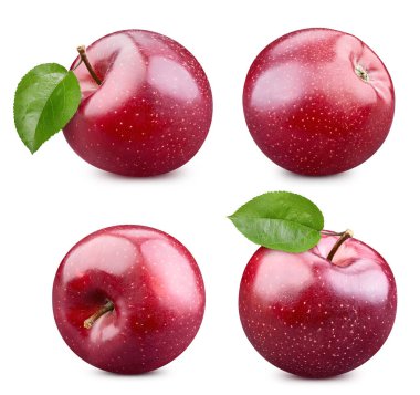 Kırmızı elma toplama yolu. Apple beyaz arka planda izole edilmiş. Taze elma meyveleri koyun. Profesyonel stüdyo makro çekimi