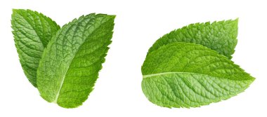 Yeşil nane yaprağı beyaza izole edilmiş. Taze nane yaprağı. Nane şekeri kırpma yolu