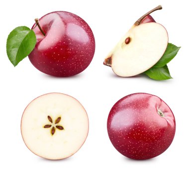 Kırmızı elma toplama yolu. Apple beyaz arka planda izole edilmiş. Taze elma meyveleri koyun. Profesyonel stüdyo makro çekimi