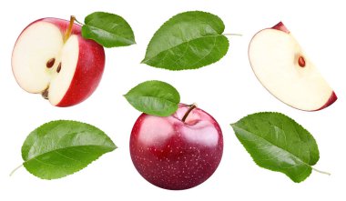 Kırmızı elma beyaz arka planda izole edilmiş. Kırmızı elma toplama yolu. Yapraklı elma