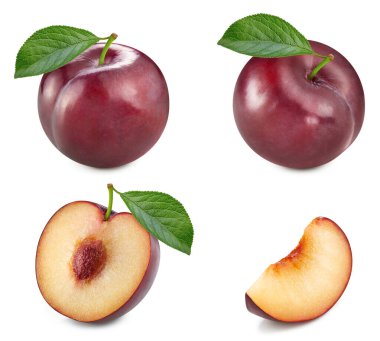 Beyaz üzerine izole edilmiş organik taze erik. Toplama eriği beyaz arkaplanda izole edildi. kırpma yolu ile