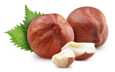 Fındık yaprağı beyaz arka planı izole etti. Fındık üst görünüm kırpma yolunu terk eder. Fındık, makro stüdyo fotoğrafı bırakır.