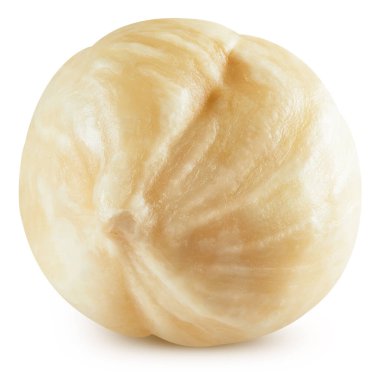 Fındıklar izole edildi. Beyaz arka planda filbertlar. Fındık kesme yolu