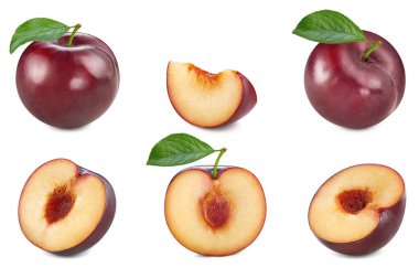 Eriği beyaz arkaplanda izole et. Beyaz üzerine izole edilmiş organik taze erik. kırpma yolu ile