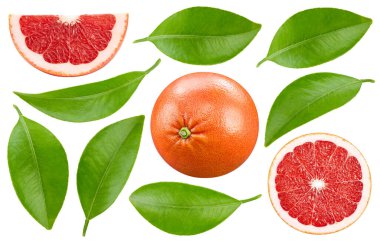 Yapraklı greyfurt. Beyaz arka planda kesik yolu olan hava greyfurtuyla uçmak. Tasarım ögesi olarak.