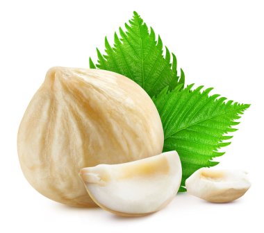 Fındık, beyaz arka planda izole edilmiş. Fındık Kırpma Yolu. Stüdyo makro çekimi