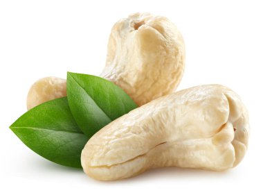 Beyaz arka planda yaprakları olan kaju fıstığı. Kaju kırpma yolu