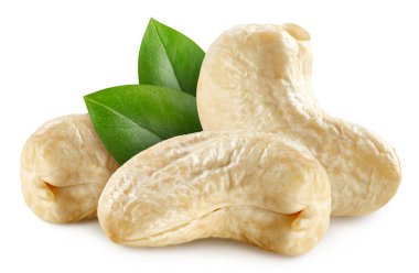 Beyaz arka planda yaprakları olan kaju fıstığı. Kaju kırpma yolu