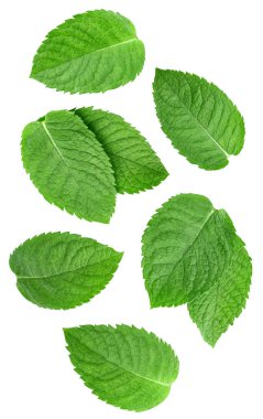 Nane yaprağı izole kesme yolu. Beyaz arka planda nane şekeri koleksiyonu. Naneli makro stüdyo fotoğrafı.