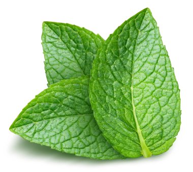 Nane yaprakları beyaza izole edilmiş. Üç nane yaprağı kırpma yolu