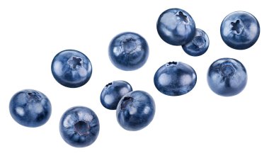 Uçan yaban mersini kırpma yolu. Beyaz arkaplanda yaban mersini izole edilmiş