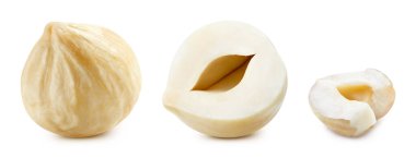 Fındık koleksiyonu. Fındık fındığı ve fındık çekirdeği. Fındık Kırpma yolu.