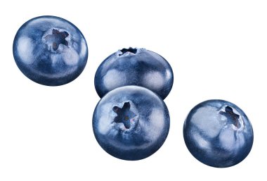 Böğürtlen koleksiyonu beyaza izole edilmiş. Uçan Yabanmersini Kırpma Yolu.