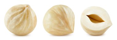 Fındık koleksiyonu beyaz arka planda izole edilmiş. Fındık kesme yolu.