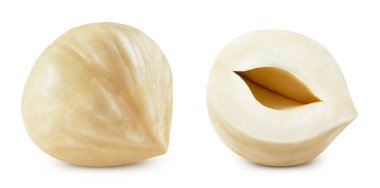 Fındık koy. Fındık fındığı ve fındık çekirdeği. Fındık Kırpma yolu.