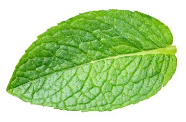 Nane yaprakları beyaza izole edilmiş. Naneli yapraklar kırpma yolu