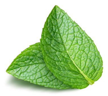 Nane yaprakları beyaza izole edilmiş. Naneli yapraklar kırpma yolu