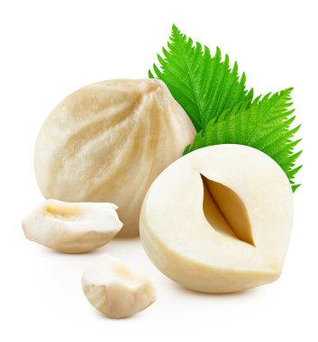 Fındık, beyaz arka planda izole edilmiş. Fındık Kırpma Yolu. Stüdyo makro çekimi