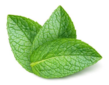 Nane yaprakları beyaza izole edilmiş. Üç nane yaprağı kırpma yolu