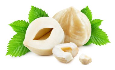 Yapraklı fındık. Fındık, beyaz arka planda izole edilmiş. Fındıklı makro. kırpma yolu ile