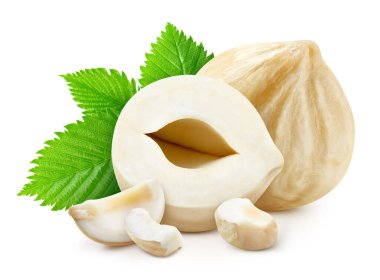 Beyaz arka planda yeşil yapraklı fındıklar. Fındık yığını tam derinlikte makro çekim yapıyor. Fındık kesme yolu