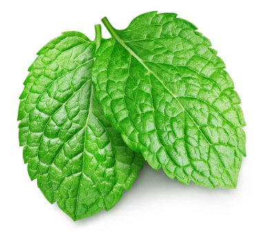 Beyaz arkaplanda nane yaprağı izole edilmiş. Nane yaprağı kırpma yolu.