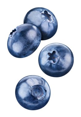 Beyaz yaban mersini koleksiyonu. Uçan yabanmersini meyvesi izole edilmiş. Yabanmersini kümesi kırpma yolu.