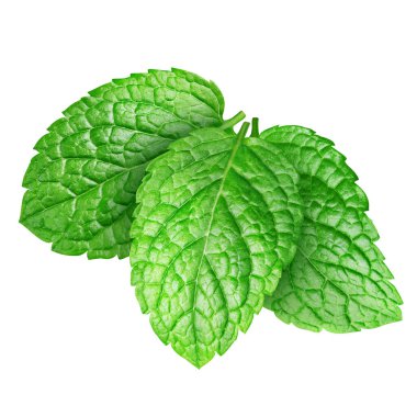 Nane yaprakları beyaz arka planda izole. Nane kırpma yolu