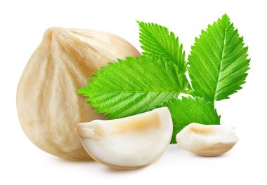 Yapraklı fındık. Fındık, beyaz arka planda izole edilmiş. Fındıklı makro. kırpma yolu ile