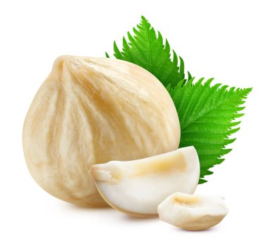 Fındık yaprağı beyaz arka planı izole etti. Fındık üst görünüm kırpma yolunu terk eder. Fındık, makro stüdyo fotoğrafı bırakır.