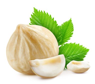 Kesme yolu olan fındık. Beyaz arka planda yeşil yapraklı fındık