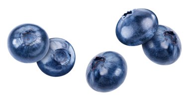 Böğürtlen koleksiyonu beyaza izole edilmiş. Uçan Yabanmersini Kırpma Yolu.