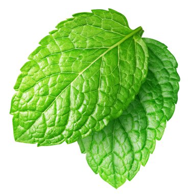 Beyaz arkaplan kırpma yolunda nane izole edildi. Yeşil Nane Yaprakları