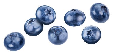 Beyaz yaban mersini koleksiyonu. Uçan yabanmersini meyvesi izole edilmiş. Yabanmersini kümesi kırpma yolu.