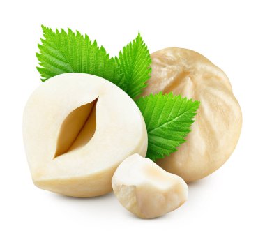 Yapraklı fındık. Fındık çekirdeği ve yapraklar beyaz arka planda izole edilmiş. Fındıklı makro. kırpma yolu ile