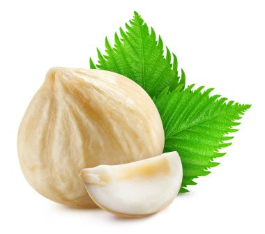 Fındık, beyaz arka planda izole edilmiş. Fındık Kırpma Yolu. Stüdyo makro çekimi