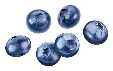 Uçan yabanmersini meyvesi izole edilmiş. Beyaz yaban mersini koleksiyonu. Yabanmersini kümesi kırpma yolu.