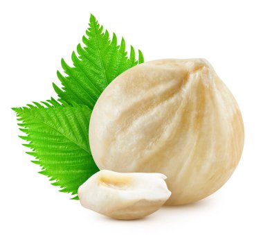 Fındık. Fındık fındığı ve fındık çekirdeği. Fındık Kırpma yolu.