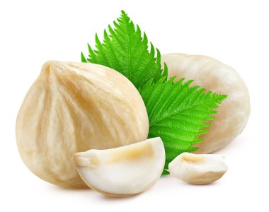 Beyaz arka planda yeşil yapraklı fındıklar. Fındık yığını tam derinlikte makro çekim yapıyor. Fındık kesme yolu