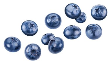 Uçan yaban mersini kırpma yolu. Beyaz arkaplanda yaban mersini izole edilmiş