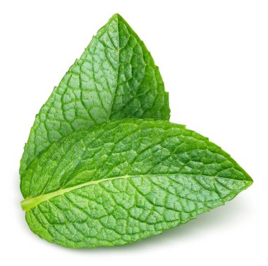 Nane yaprakları beyaza izole edilmiş. Naneli yapraklar kırpma yolu