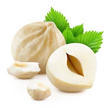 Beyaz arka planda yeşil yapraklı fındıklar. Fındık yığını tam derinlikte makro çekim yapıyor. Fındık kesme yolu