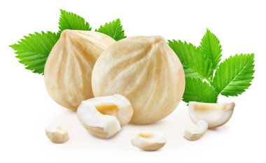 Yapraklı fındık. Fındık, beyaz arka planda izole edilmiş. Fındıklı makro. kırpma yolu ile