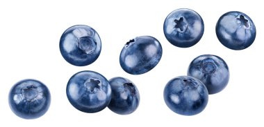 Yabanmersini seti. Uçan yaban mersini kırpma yolu. Beyaz arkaplanda yaban mersini izole edilmiş